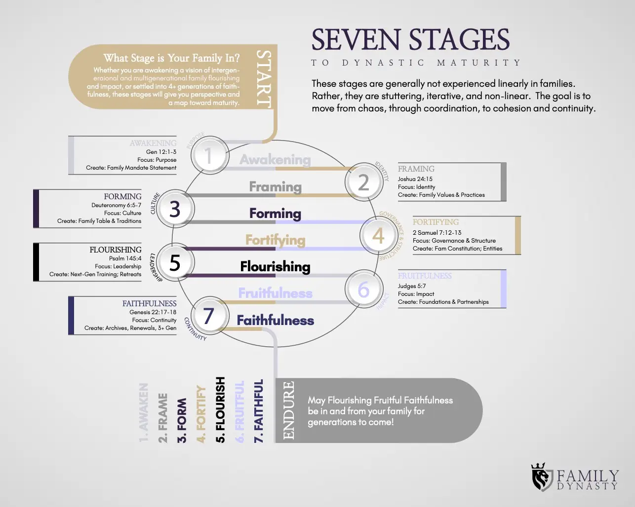 7 Stages to Dynastic Maturity